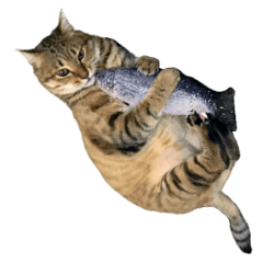 [LINEスタンプ] だるい猫ディディ