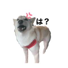[LINEスタンプ] うみ チビ