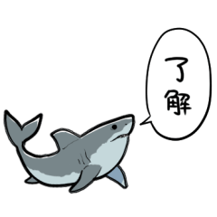 [LINEスタンプ] しゃべるホオジロザメの画像（メイン）