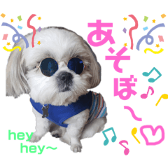 [LINEスタンプ] まえののまーくん