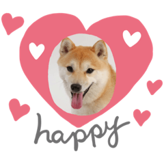 [LINEスタンプ] そらまめどん