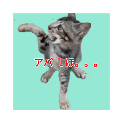 [LINEスタンプ] くしんg いむt