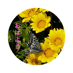[LINEスタンプ] 花は癒し