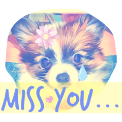 [LINEスタンプ] ワンワンワンコだらけ 犬の癒しスタンプ
