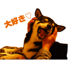 [LINEスタンプ] 黒柴ももスタンプ