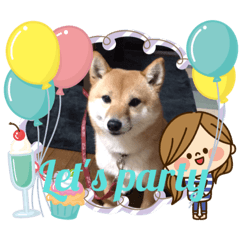 [LINEスタンプ] 豆柴詰め込みスタンプ(〃ω〃)