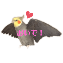 [LINEスタンプ] パール第1弾❤（友人用）