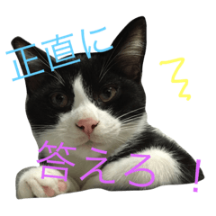[LINEスタンプ] くまおのスタンプ①