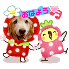 [LINEスタンプ] ラルちゃんの生活