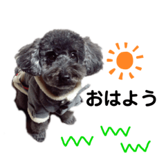 [LINEスタンプ] モフモフモフモフのお友達
