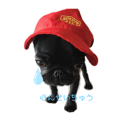 [LINEスタンプ] パグと一緒