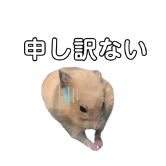 [LINEスタンプ] ハムスターのえんちゃん