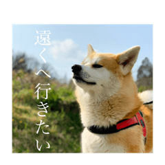 [LINEスタンプ] ちくわの気持ち01