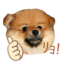 [LINEスタンプ] ぽんぷり