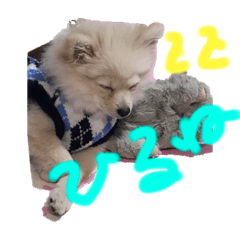 [LINEスタンプ] うちの潤ちゃん