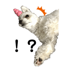 [LINEスタンプ] 犬のまる日和スタンプ