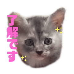 [LINEスタンプ] ぐぐちゃんスタンプ