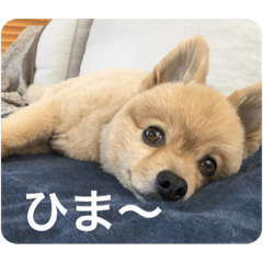 [LINEスタンプ] らいくんまん2