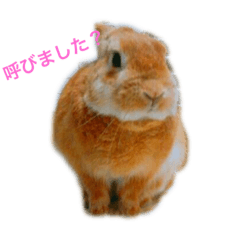 [LINEスタンプ] ラキメグの日常