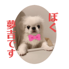 [LINEスタンプ] ゆめきち①