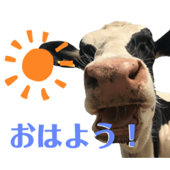 [LINEスタンプ] 牛さんすたんぷ