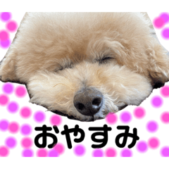 [LINEスタンプ] まろの一日
