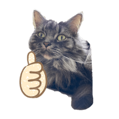[LINEスタンプ] LaLaEveryday