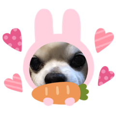 [LINEスタンプ] ジャムは続くよ何処までも