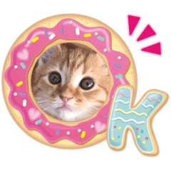 [LINEスタンプ] 茶トラ・あるくん