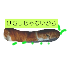 [LINEスタンプ] ぼくとら