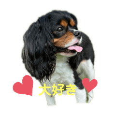 [LINEスタンプ] ちゃーちゃーまーるーだよー