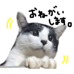[LINEスタンプ] てんてん。①