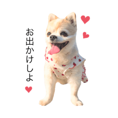 [LINEスタンプ] らぶちゃんと妹たち❤︎2