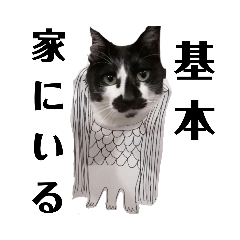 [LINEスタンプ] 英世ちゃん今しか使えないスタンプ