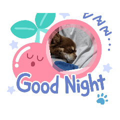 [LINEスタンプ] Choco'sスタンプ