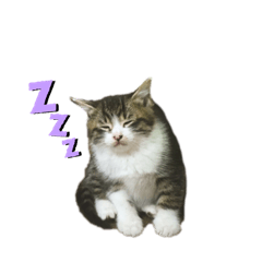 [LINEスタンプ] れおちゃんスタンプ2020