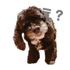 [LINEスタンプ] My important being