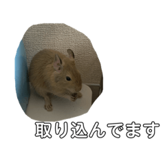 [LINEスタンプ] デグーなスタンプ