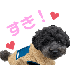 [LINEスタンプ] そらさんのひ