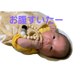 [LINEスタンプ] はると貼るよ