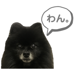[LINEスタンプ] 黒ぽめだけどスタンプになりたい3