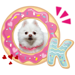 [LINEスタンプ] ポメコロちゃん 3