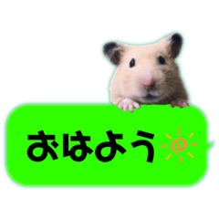 [LINEスタンプ] 吹き出しどんべぇ