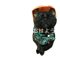 [LINEスタンプ] ☆ジジちゃん☆