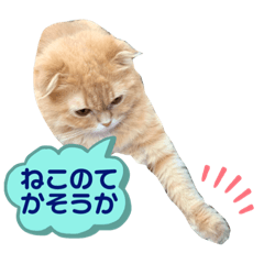[LINEスタンプ] わかちゃんとふくちゃん2