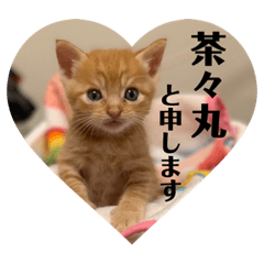[LINEスタンプ] 茶々丸劇場