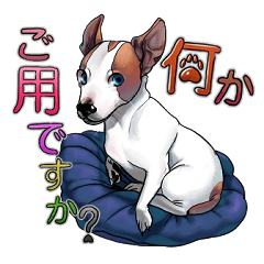 [LINEスタンプ] ジャックラッセルテリアのマリリン