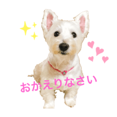 [LINEスタンプ] あたいはウエスティ！2