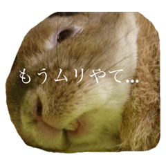 [LINEスタンプ] 関西弁のチャチャ