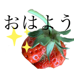 [LINEスタンプ] ケツアゴいちごくんスタンプ